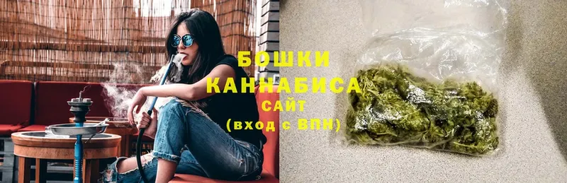 Бошки марихуана OG Kush  как найти закладки  мега ссылка  Белая Холуница 